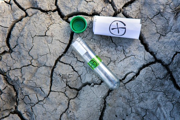 Quels sont les meilleurs endroits pour une aventure de géocaching en famille ?