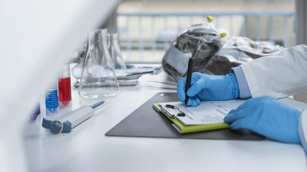 Quelles certifications augmenteront vos chances lors d'une recherche d'emploi en cybersécurité ?